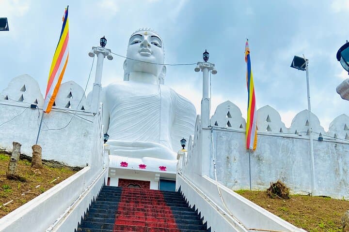 Luxury Kandy Day Tour: Pinnawala Elephants, Spice Gardens & Temple of the Tooth