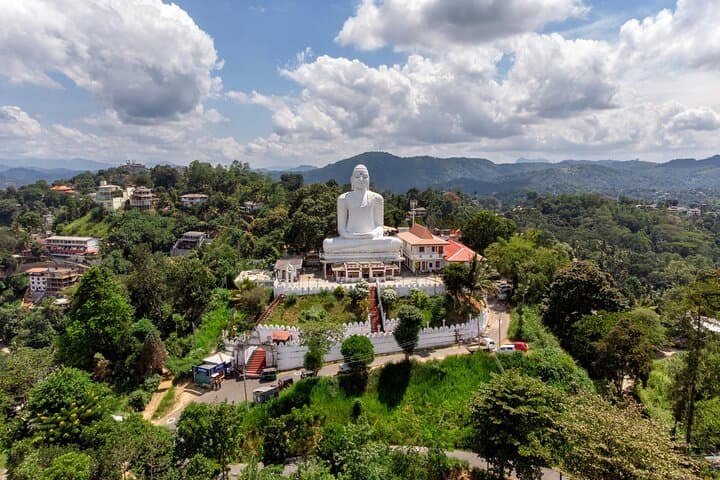 Luxury Kandy Day Tour: Pinnawala Elephants, Spice Gardens & Temple of the Tooth photo 5