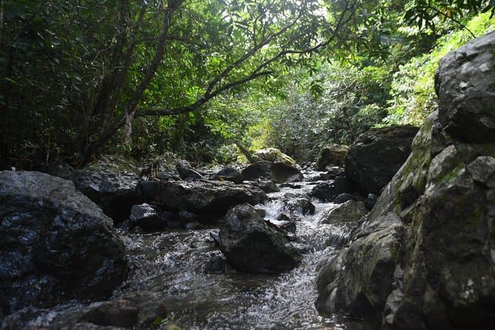 Hidden Waterfalls Bouldering Hike from San Juan photo 4
