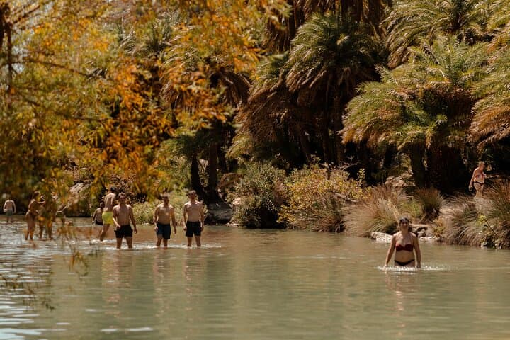 South Crete Highlights: Preveli Palm, Triopetra & Spili Village Day Tour