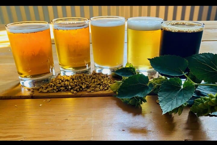 VIP Traverse City Brewery & Distillery Tour — Downtown Craft Beer Experience photo 3