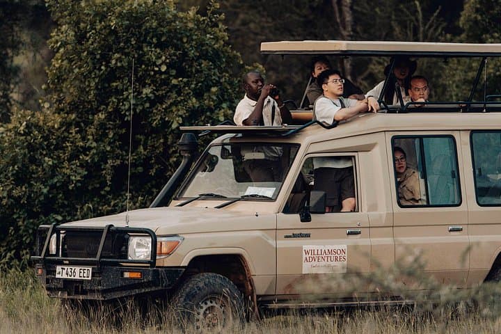 8-Day Big Five Migration Safari: Mara River Crossings & Ngorongoro Crater photo 1