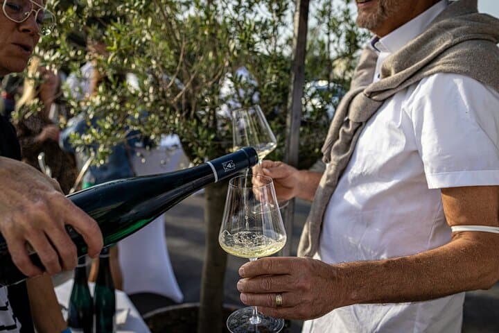 Full-Day Stellenbosch & Franschhoek Wine Tasting from Cape Town