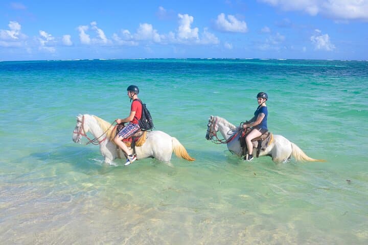 Punta Cana Horseback Riding Adventure: Beach Gallops & Palm-Lined Trails