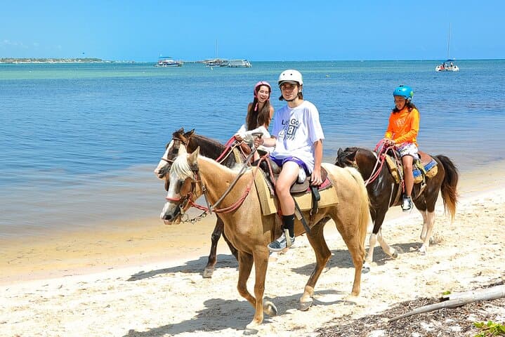 Punta Cana Horseback Riding Adventure: Beach Gallops & Palm-Lined Trails photo 3