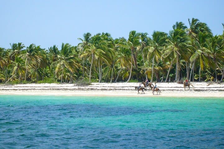 Punta Cana Horseback Riding Adventure: Beach Gallops & Palm-Lined Trails photo 5