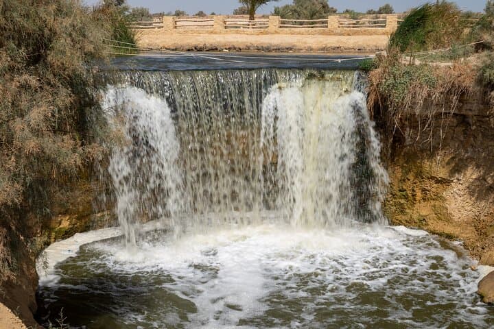 Fayoum Oasis Safari: Valley of the Whales, Magic Lake & Sandboarding photo 5