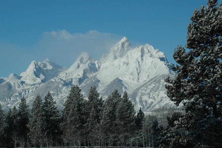 Grand Teton Private Sunrise Tour from Jackson — Jenny Lake, Mormon Row & Wildlife photo 3
