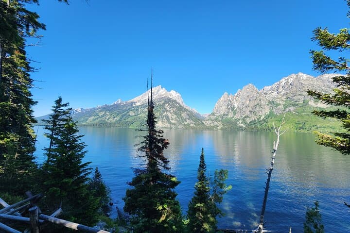 Grand Teton Private Sunrise Tour from Jackson — Jenny Lake, Mormon Row & Wildlife photo 5