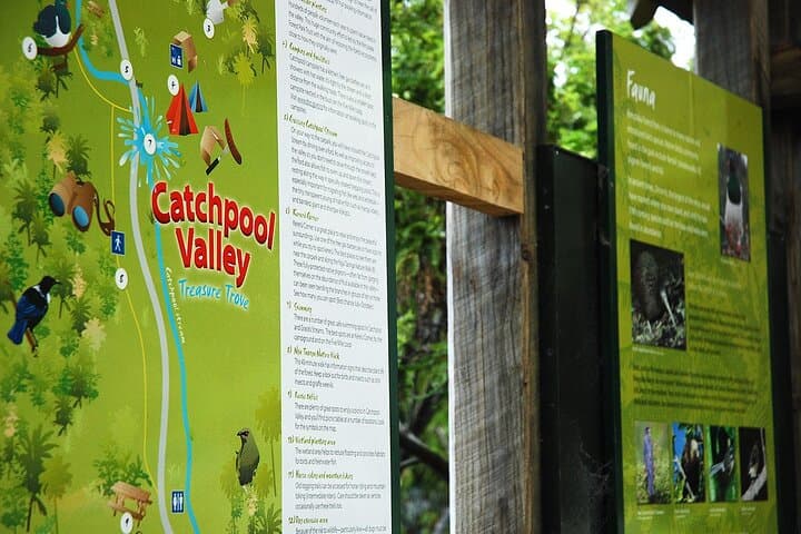 Wellington Native Bush Walking Tour — Rimutaka Forest, Eastbourne & Days Bay Ferry photo 2