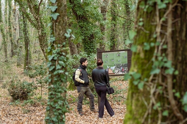 Forest of Lamone: Etruscan Tombs, Brigands and Charcoal Traditions photo 2