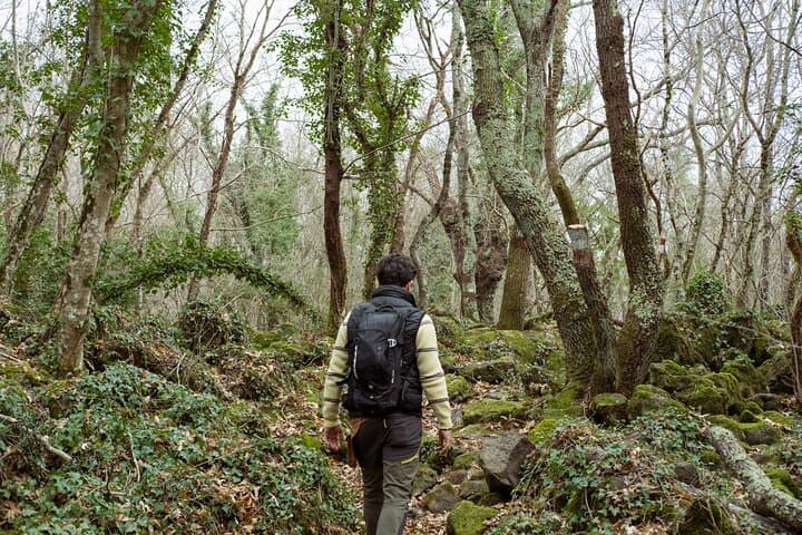 Forest of Lamone: Etruscan Tombs, Brigands and Charcoal Traditions photo 4
