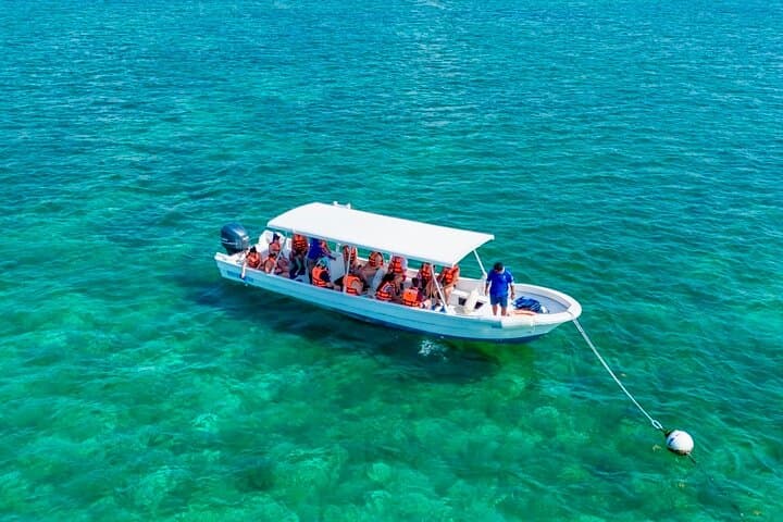 Private Snorkel Tour to Puerto Morelos Reef National Park with Lunch
