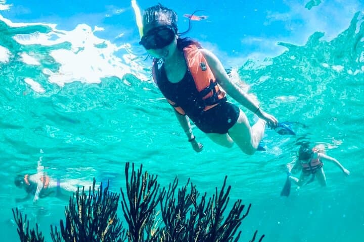 Private Snorkel Tour to Puerto Morelos Reef National Park with Lunch photo 3
