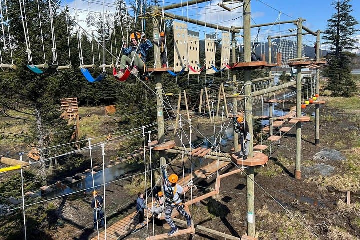Seward Aerial Park Ropes Course: High-Line Adventure Above the Kenai