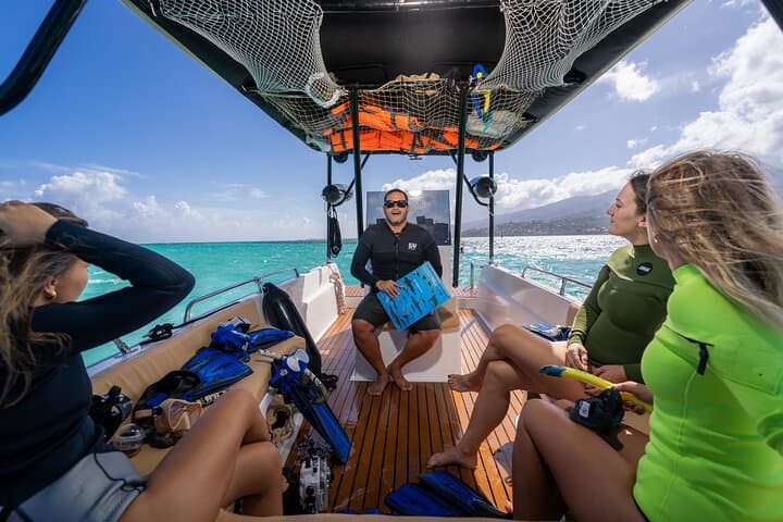 Tahiti Lagoon Snorkel & Sandbank Lunch: Small-Boat Eco Tour from Papeete