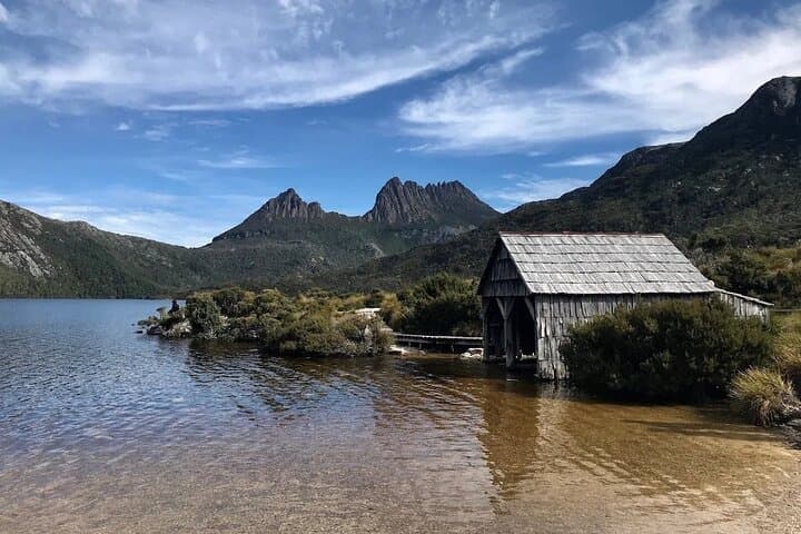 Cradle Mountain Day Tour from Launceston: Dove Lake, Rainforest Walk & Lunch