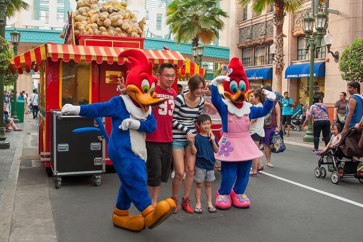 Universal Studios Singapore Tickets with Round-Trip Transfer — Park Guide & Practical Tips photo 3