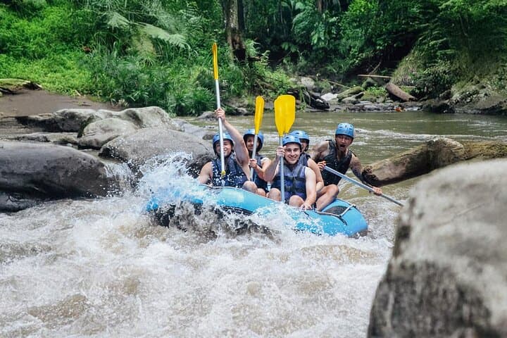 Ayung River Rafting in Ubud — Bali White-Water Adventure & Jungle Waterfalls photo 5
