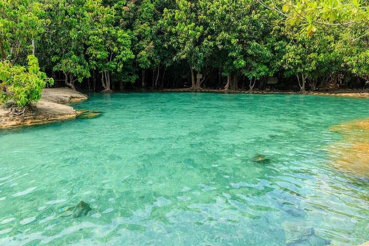 Krabi Jungle Full-Day: Emerald Pool, Hot Springs & Tiger Cave Temple photo 3