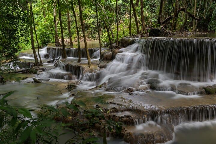 Krabi Jungle Full-Day: Emerald Pool, Hot Springs & Tiger Cave Temple photo 2