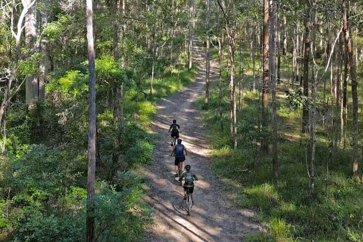 Noosa Biosphere Trail eBike Tour — Scenic Noosa Hinterland eMTB Ride photo 2