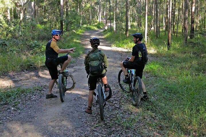 Noosa Biosphere Trail eBike Tour — Scenic Noosa Hinterland eMTB Ride