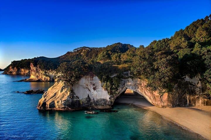 Cathedral Cove & Hot Water Beach Day Tour — Coromandel Coastal Walk and DIY Geothermal Pools photo 2