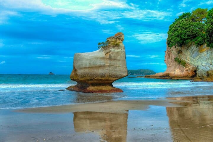 Cathedral Cove & Hot Water Beach Day Tour — Coromandel Coastal Walk and DIY Geothermal Pools photo 4