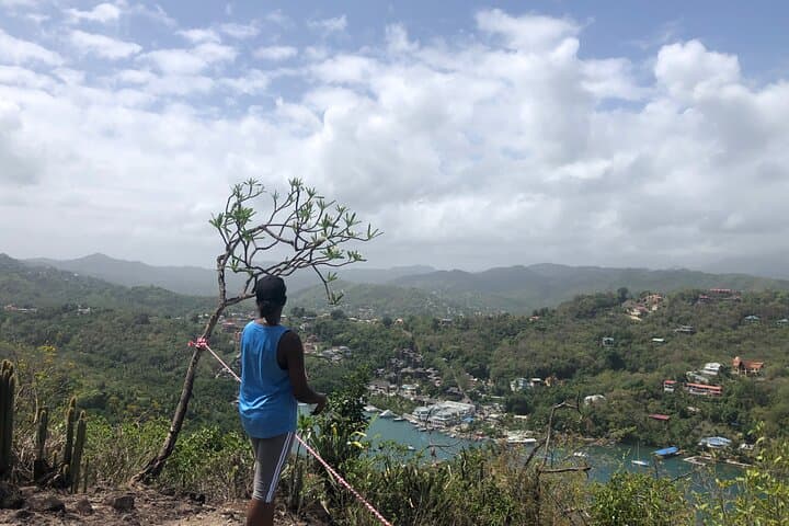Billy Goat Trail Hike in Marigot Bay — St Lucia Coastal Views & Mangroves photo 3