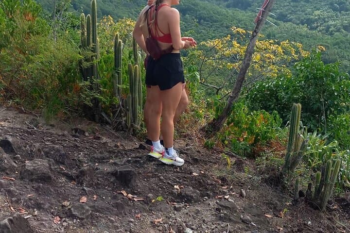 Billy Goat Trail Hike in Marigot Bay — St Lucia Coastal Views & Mangroves photo 6