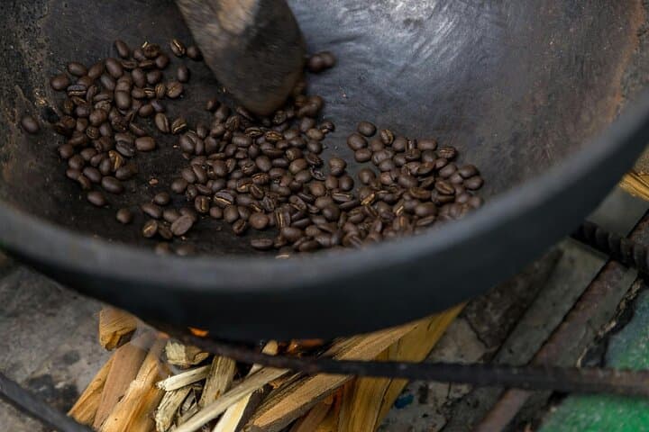 Coffee Farm Hike in Jamaica's Blue Mountains from Montego Bay photo 2