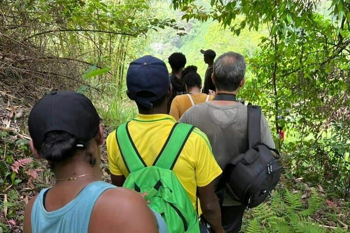 Coffee Farm Hike in Jamaica's Blue Mountains from Montego Bay photo 6