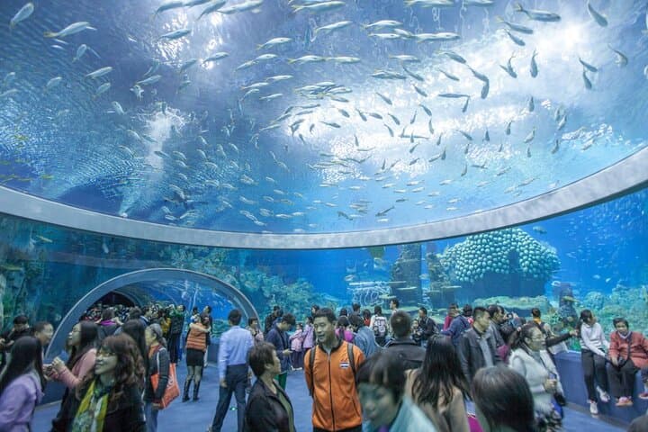 Nha Trang Half-Day City Tour — Oceanography Museum, Hon Chong Rock & Po Nagar Tower photo 3