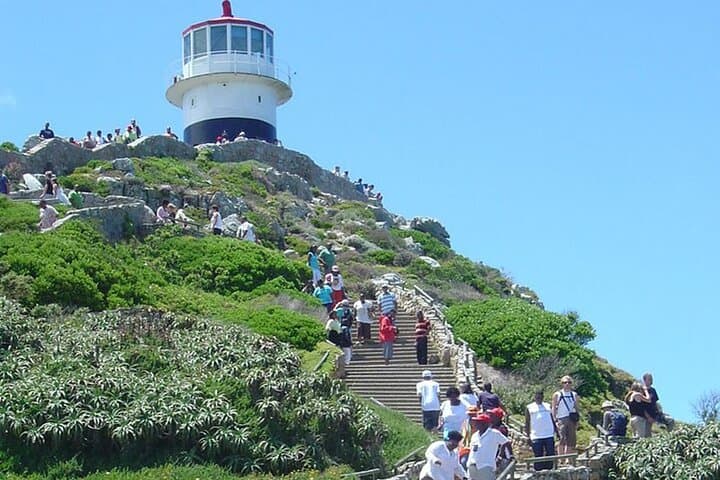 Cape Town Super Saver: Cape Point, Table Mountain & Stellenbosch Wine Tour photo 4