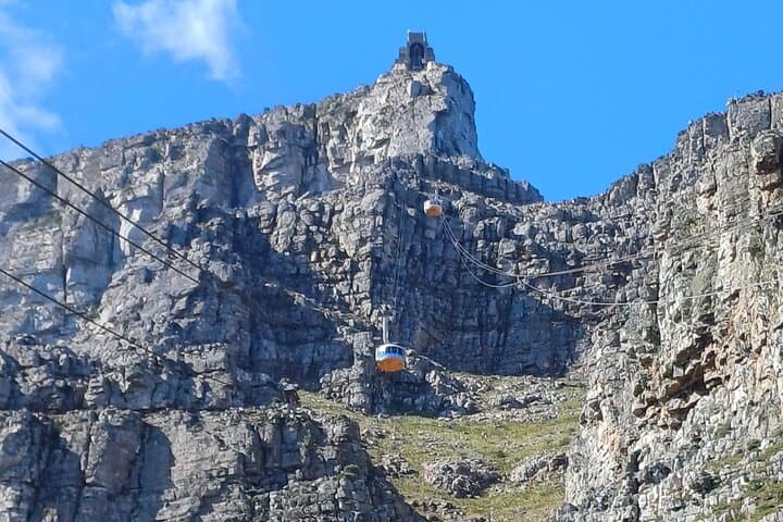 Table Mountain Cable Car to Kirstenbosch: Half-Day Botanical & Summit Experience in Cape Town