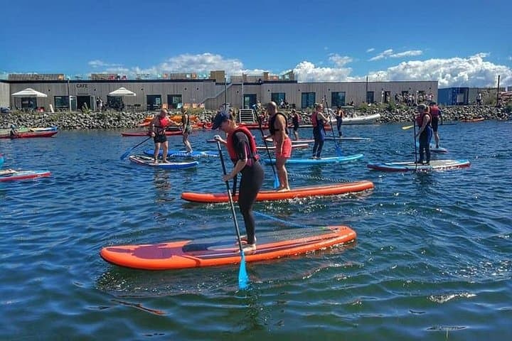 Paddle the Lagoon: Stand Up Paddleboard Rental at Amager Beach Near Copenhagen