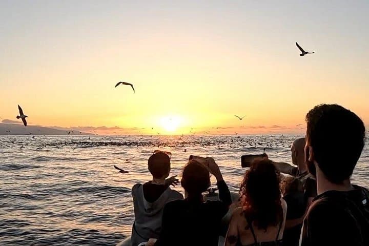 Sao Miguel Sunset Boat Tour: Golden-Hour Cliffs, Caves & Snorkel