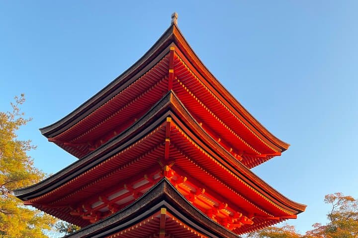 Private Kyoto, Nara, Osaka & Kobe Multi-Day Adventures: Custom Day Trips and Transfers