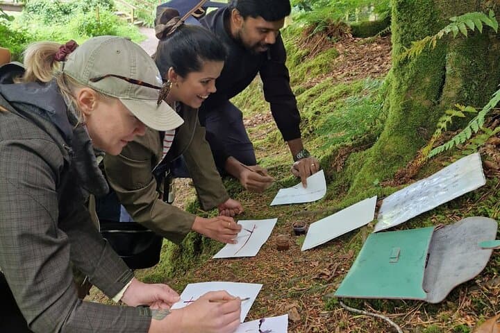 Courtown Woodland Guided Walk: Pagan Lore, Foraging & Ancient Trees in Wexford photo 6