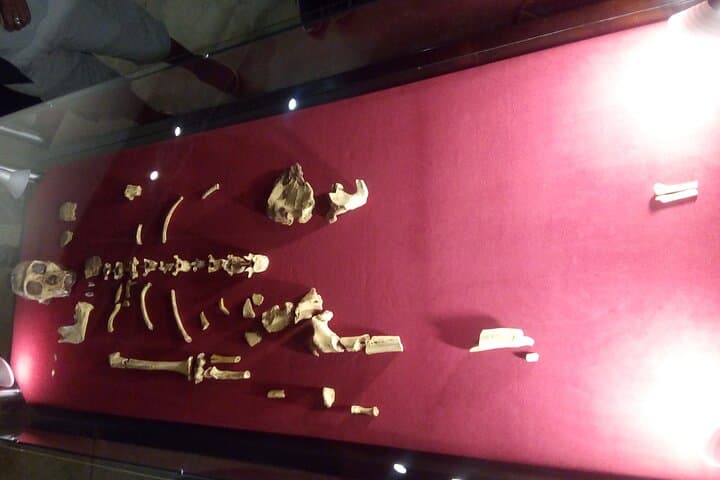 Cradle of Humankind: Sterkfontein Caves & Maropeng Visitor Centre Day Tour photo 4