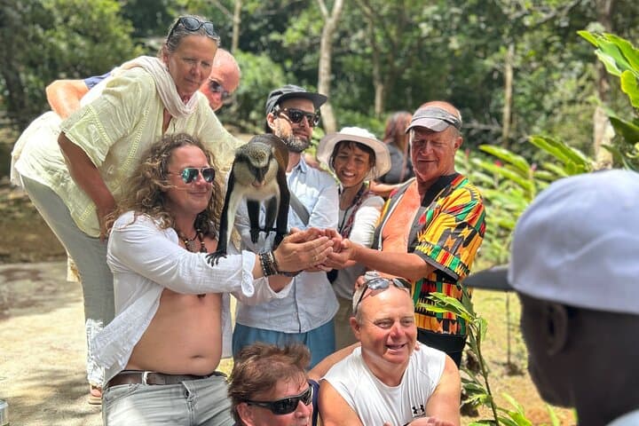 Paradise Unveiled: Grenada Full-Day Island Adventure — Waterfalls, Chocolate & Rum