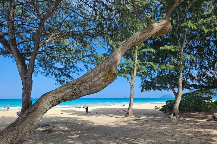 Exploring Oahu’s Hidden Gems: A Private Jeep Adventure Off the Beaten Path photo 2