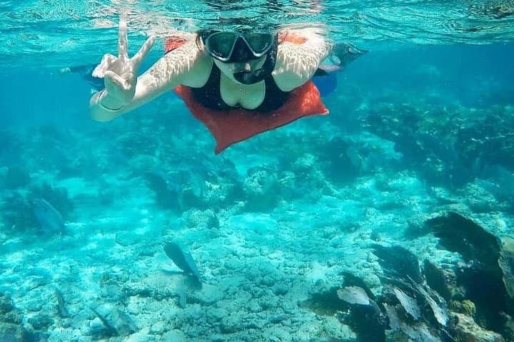 San Pedro Private Snorkeling Tour — Sharks, Manatees & Hol Chan Reef