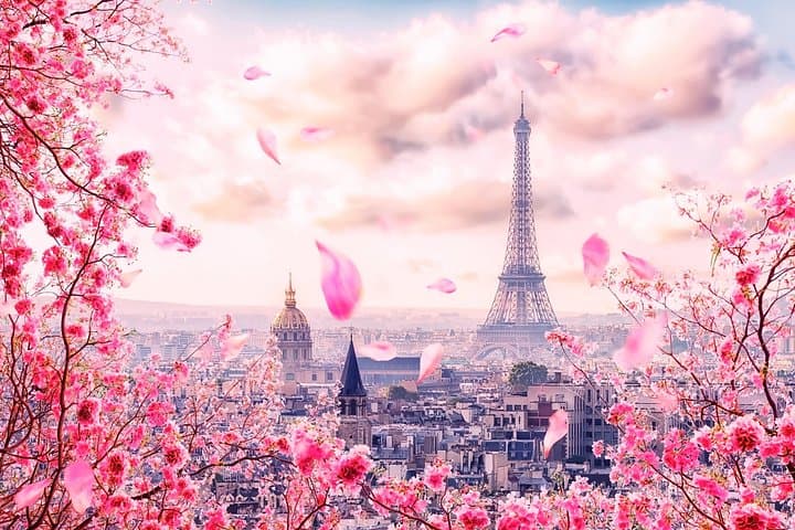 Private Transfer Brussels to Paris with 2-Hour Stop in Amiens — Cathedral, Canals & Comfort