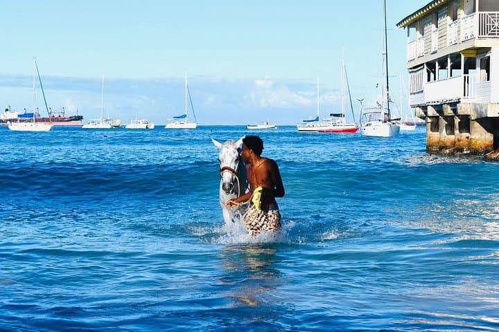 Swim with the Horses at Carlisle Bay and Explore the Barbados Garrison photo 4