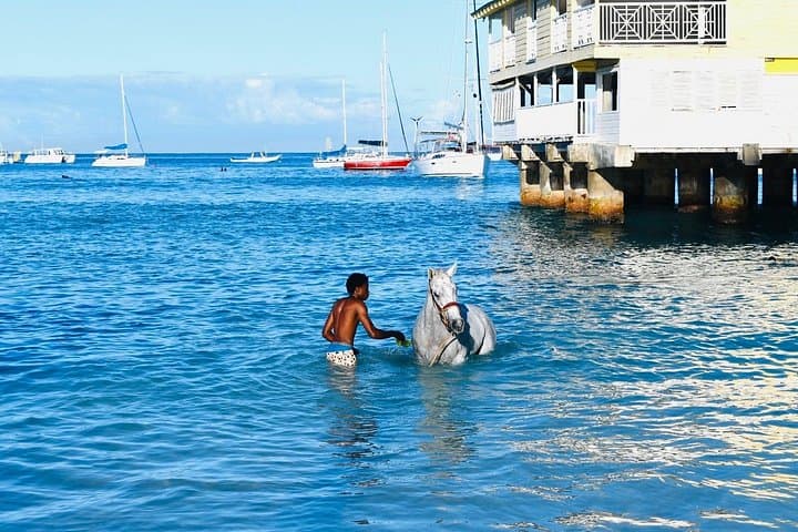 Swim with the Horses at Carlisle Bay and Explore the Barbados Garrison photo 2