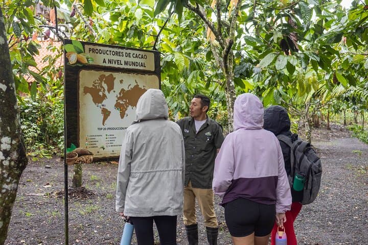 Sloths, Coffee & Chocolate: Rainforest Walk and Tasting near La Fortuna photo 2