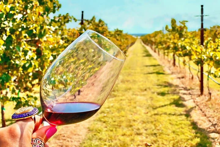 Private Fredericksburg Mercedes SUV Wine Tour from San Antonio photo 2
