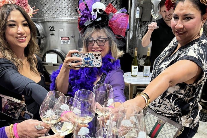 Private Fredericksburg Mercedes SUV Wine Tour from San Antonio photo 3